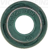 Victor Reinz 705399100