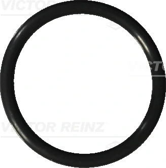 Victor Reinz 407604120