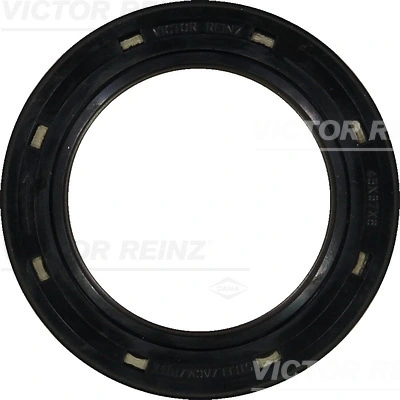 Victor Reinz 812624810