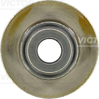 Victor Reinz 701013000