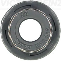 Victor Reinz 705416900