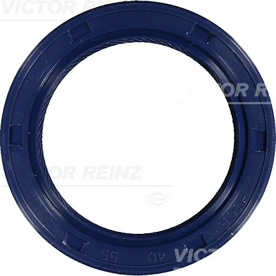 Victor Reinz 815327200