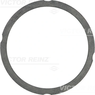 Victor Reinz 612547570