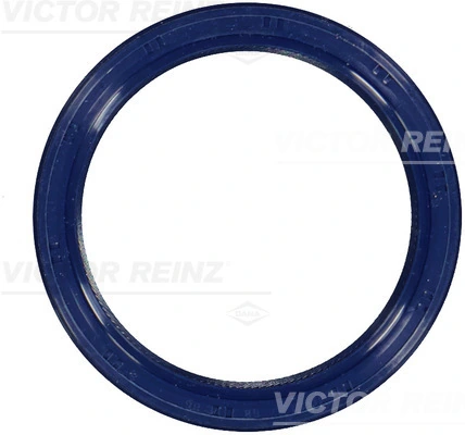 Victor Reinz 815330100