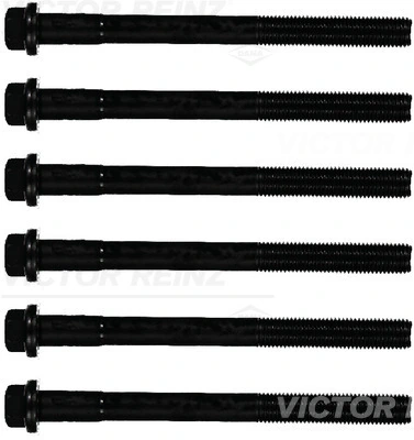 Victor Reinz 143228501