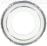 VICTOR REINZ 702579200