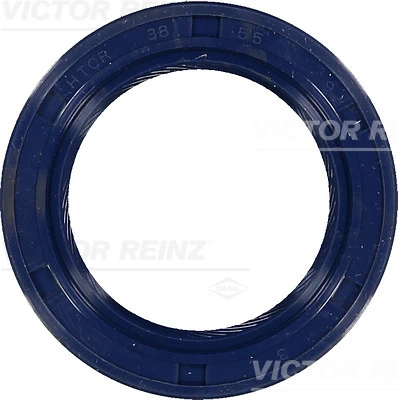 Victor Reinz 815326300