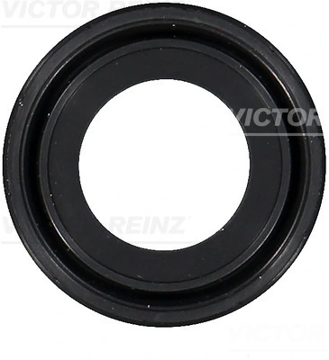 VICTOR REINZ 811045900
