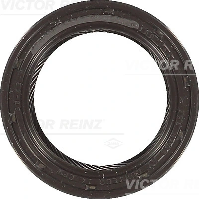 Victor Reinz 813562400