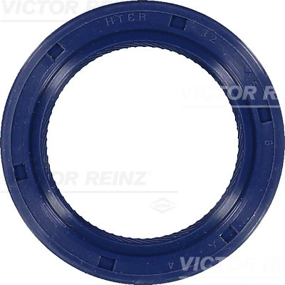 Victor Reinz 815344200