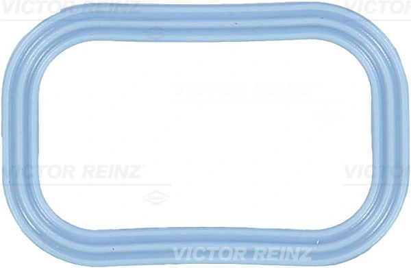 Victor Reinz 713553900