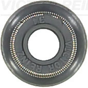 Victor Reinz 704061600
