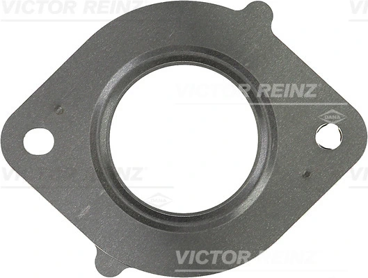 Victor Reinz 713312100