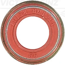 Victor Reinz 704205400