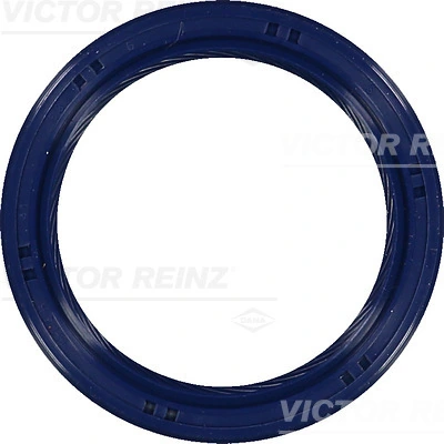 Victor Reinz 815369900