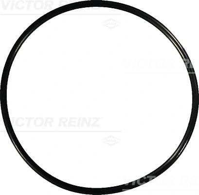 Victor Reinz 407674100