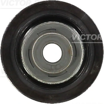 Victor Reinz 701012200