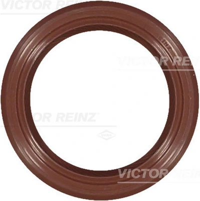 Victor Reinz 811551230