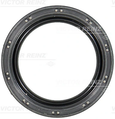 Victor Reinz 811045800