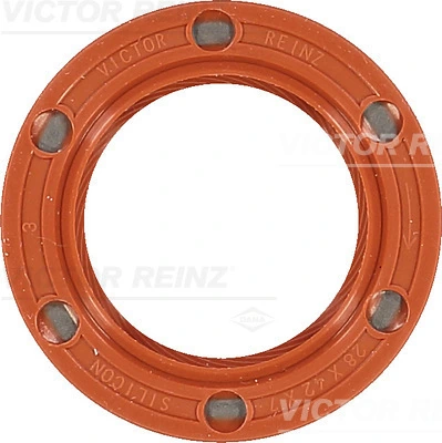 Victor Reinz 813365310