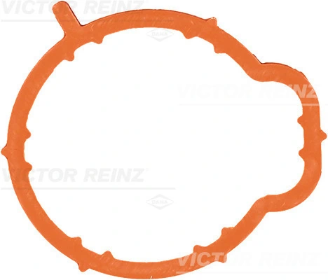 Victor Reinz 713537700