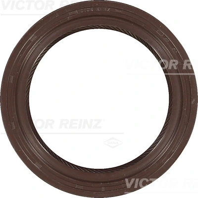 Victor Reinz 811740450