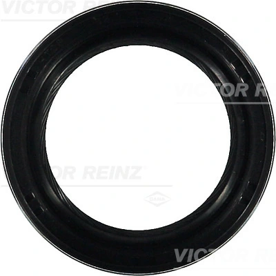 Victor Reinz 815323900