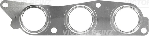 Victor Reinz 713491200