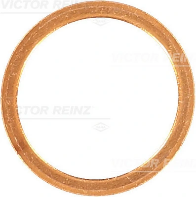 Victor Reinz 417022200