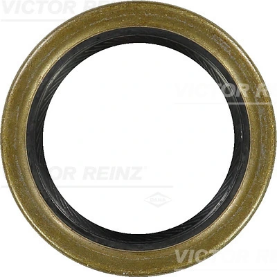 Victor Reinz 812108710
