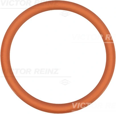Victor Reinz 713524700