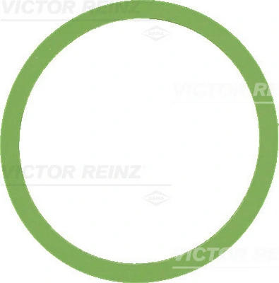 Victor Reinz 417764700