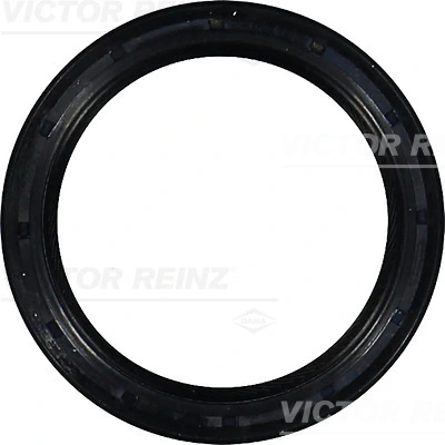 VICTOR REINZ 811055100