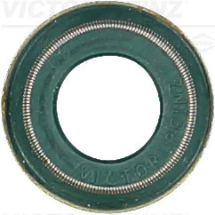 Victor Reinz 703690300