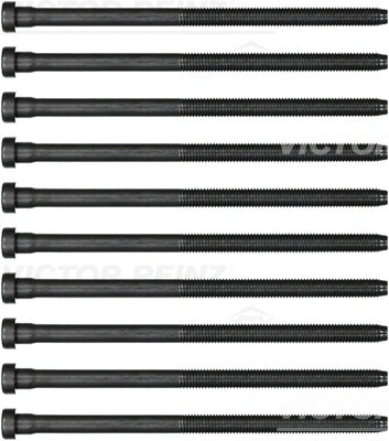 Victor Reinz 143238401