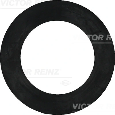 Victor Reinz 407740800