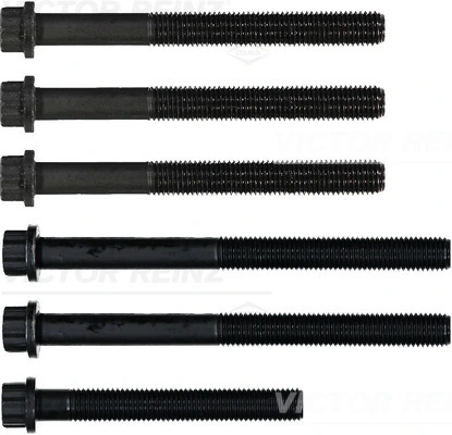 Victor Reinz 143206001