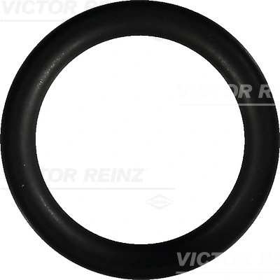 Victor Reinz 407624600