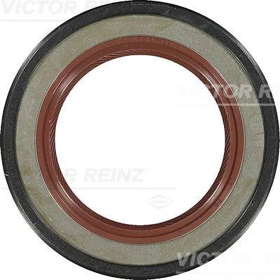 Victor Reinz 813186300