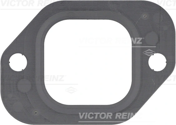Victor Reinz 713789410