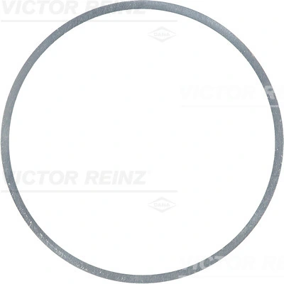 Victor Reinz 418317710