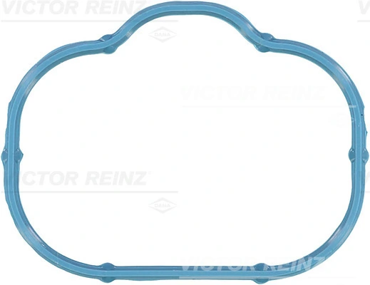 Victor Reinz 711036000