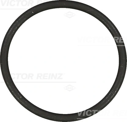 Victor Reinz 407685400