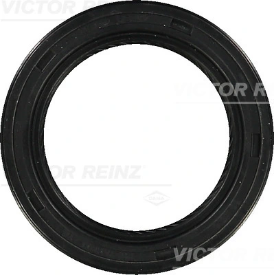 Victor Reinz 813480500
