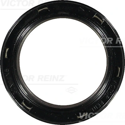 Victor Reinz 813446100