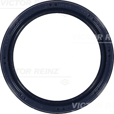 Victor Reinz 815366100