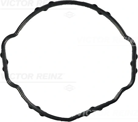 Victor Reinz 713940800