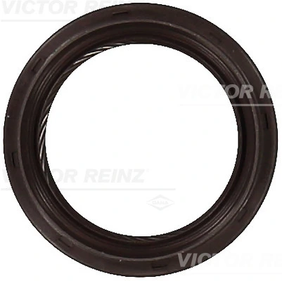 Victor Reinz 811059200