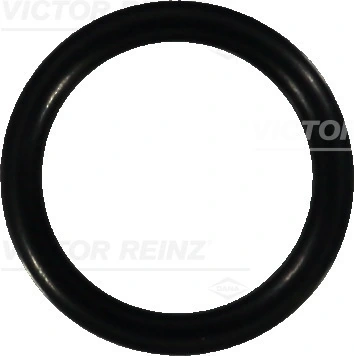 Victor Reinz 407605900