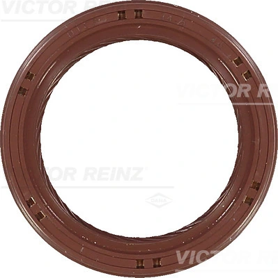 Victor Reinz 815390700